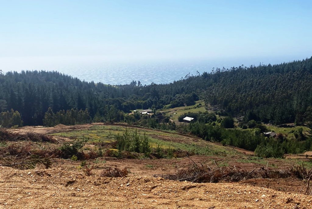 MIRADOR DE TRILCO