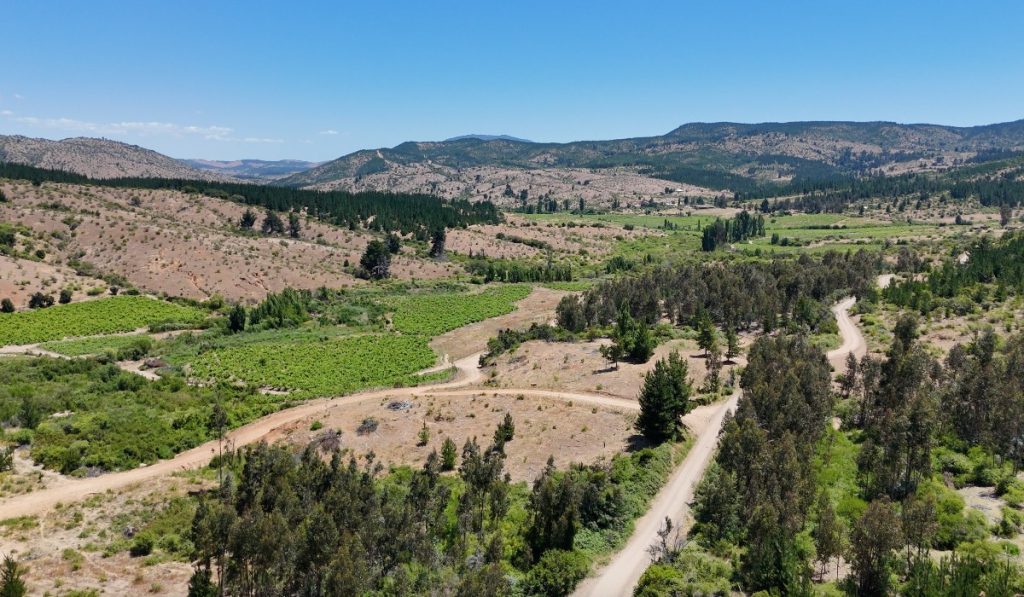 Parcelas en venta - Nirivilo