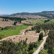 Venta de parcelas - Nirivilo