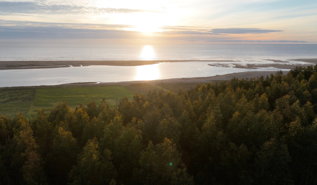 MAR DE ILOCA